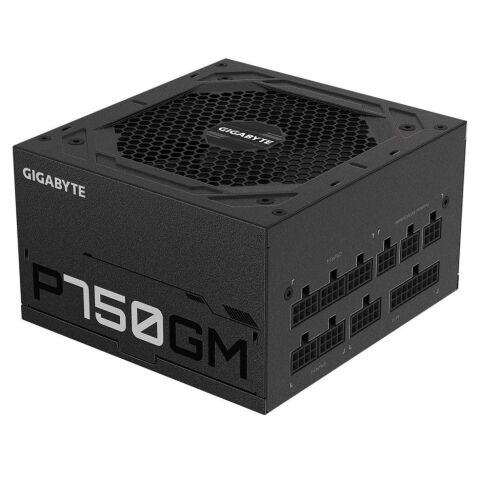 Блок питания GIGABYTE 750W (GP-P750GM) - Блоки питания  - Блоки питания 