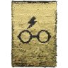 Блокнот Cerda Harry Potter Glasses Premium Notebook (Hardcover)
