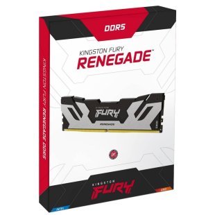 Модуль памяти для компьютера DDR5 32GB (2x16GB) 6400 MHz FURY Renegade Silver Kingston Fury (ex.HyperX) (KF564C32RSK2-32)