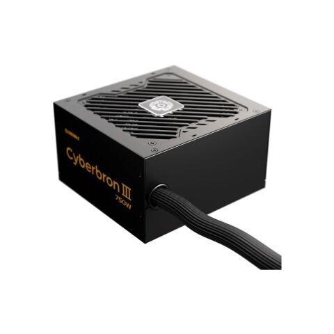 Блок питания Enermax 750W Cyberbron III (EMB750EWT-NAC) - Блоки питания  - Блоки питания 