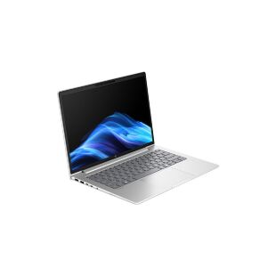 Ноутбук HP ProBook 4 G1a (D4VG2ET)