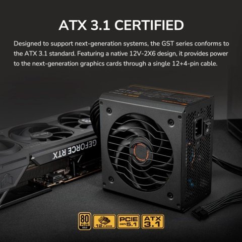 Блок питания Cougar 850W (GST850) - Нулевой остаток (Feed)  - Нулевой остаток (Feed) 