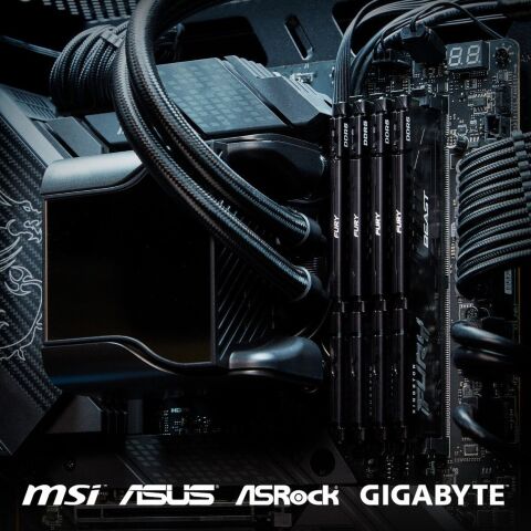 Модуль памяти для компьютера DDR5 16GB (2x8GB) 6000 MHz Beast Kingston Fury (ex.HyperX) (KF560C36BBEK2-16) - Модули памяти для компьютера  - Модули памяти для компьютера 