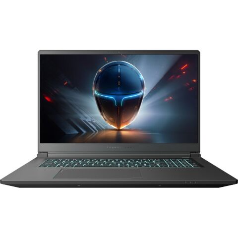 Ноутбук Thunderobot 911 X17 (911X17-i7136H56C1Q165MB) - Ноутбуки  - Ноутбуки 