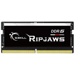 Модуль памяти для ноутбука SoDIMM DDR5 16GB 4800 MHz Ripjaws G.Skill (F5-4800S3838A16GX1-RS)