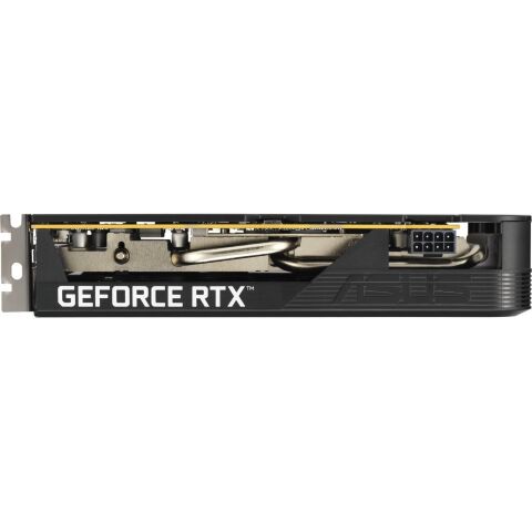 Видеокарта ASUS GeForce RTX5050 8Gb DUAL OC (DUAL-RTX5050-O8G) - Видеокарты - Видеокарты