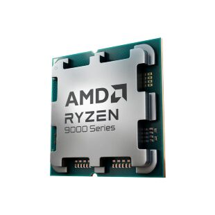 Процессор AMD Ryzen 9 9900X3D (100-100001368WOF)