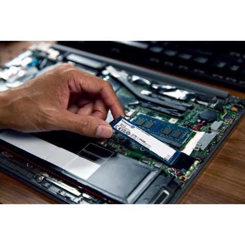 Накопитель SSD M.2 2280 4TB Kingston (SNV3S/4000G) - Внутренние SSD  - Внутренние SSD 
