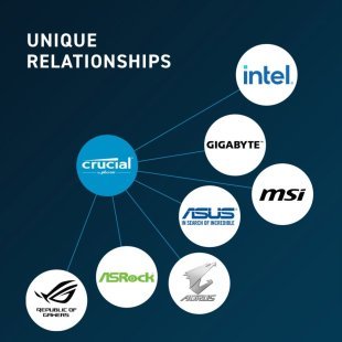 Модуль памяти для компьютера DDR5 8GB 4800 MHz Micron (CT8G48C40U5T)