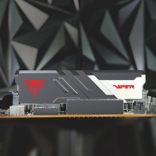 Модуль памяти для компьютера DDR5 64GB (2x32GB) 5600 MHz Viper Venom Patriot (PVV564G560C40K)