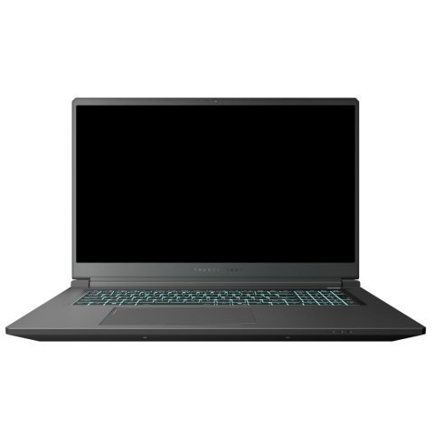 Ноутбук Thunderobot 911 X17 (911X17-i7136H56C1Q165MBD) - Нулевой остаток (Feed)  - Нулевой остаток (Feed)