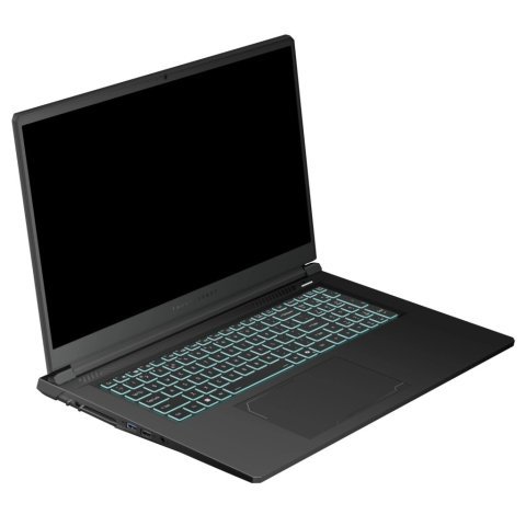 Ноутбук Thunderobot 911 X17 (911X17-i7136H56C1Q165MBD) - Нулевой остаток (Feed)  - Нулевой остаток (Feed)