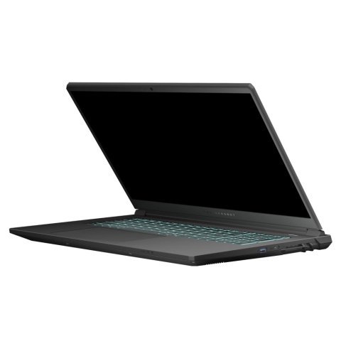 Ноутбук Thunderobot 911 X17 (911X17-i7136H56C1Q165MBD) - Нулевой остаток (Feed)  - Нулевой остаток (Feed)