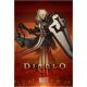 Плакат фірмовий Blizzard Diablo Crusader Poster - -