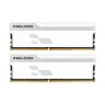 Модуль памяти для компьютера DDR5 32GB (2x16GB) 5600 MHz Onyx White Prologix (PRO32GB5600YW5K)