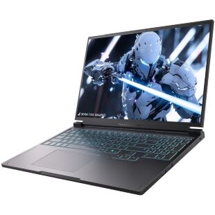 Ноутбук Thunderobot RS16 (RS16-i9139HX57C1Q240ARB)