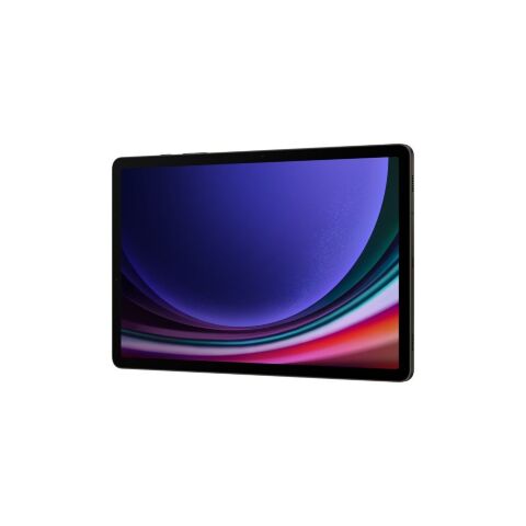 Планшет Samsung Galaxy Tab S9 5G 12GB/256GB Graphite (SM-X716BZAESEK) - Нулевой остаток (Feed)  - Нулевой остаток (Feed) 