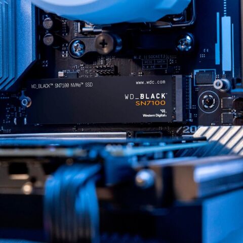 Накопитель SSD M.2 2280 500GB SN7100 WD (WDS500G4X0E) - Внутренние SSD  - Внутренние SSD 
